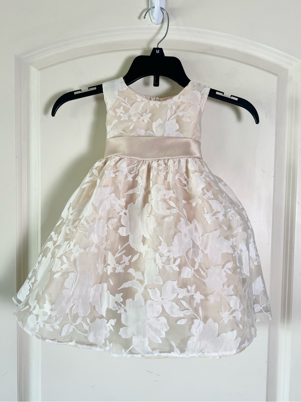 Crayon Kids Champagne Lace Overlay Special Occasion Flower Girl Dress Bow Back